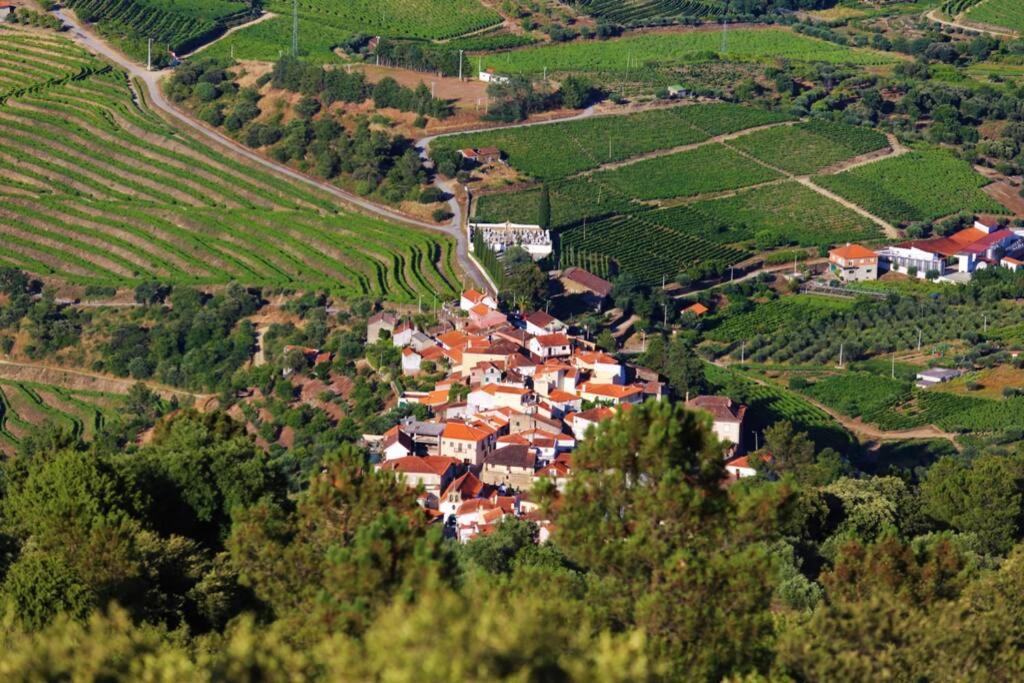 Ferienwohnung Babhouse Casa Da Mata - Coracao Do Douro Nagoselo do Douro Exterior foto